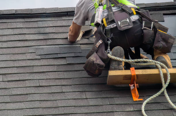 Best Storm Damage Roof Repair  in Mledgevle, IL