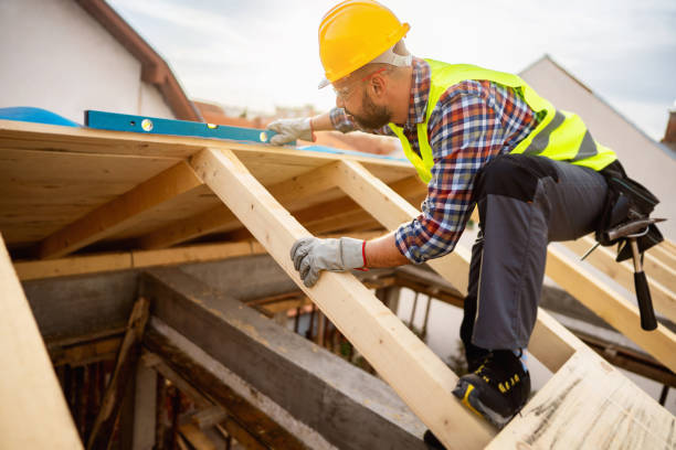 Best Roof Maintenance Services  in Mledgevle, IL