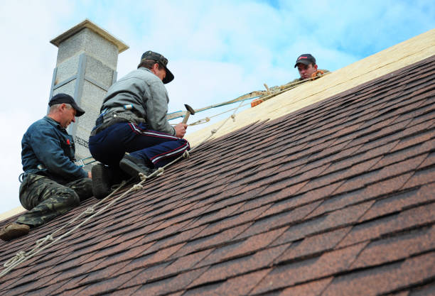 Best New Roof Installation  in Mledgevle, IL